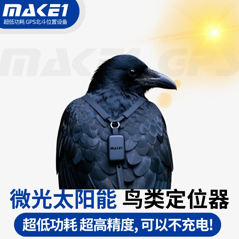 鸟类定位器.jpg