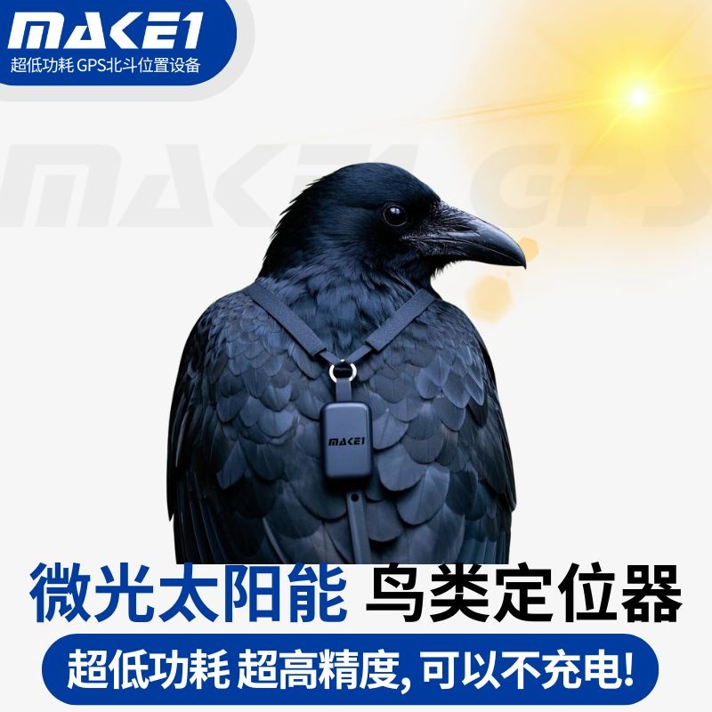 鸟类定位器.jpg